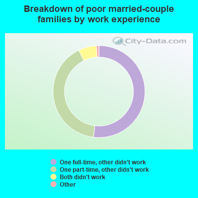Breakdown of poor married-couple families by work experience